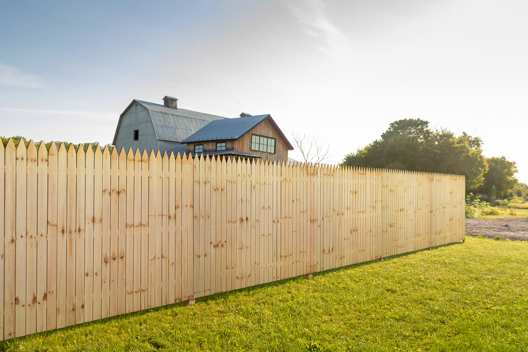 Pine picket fence